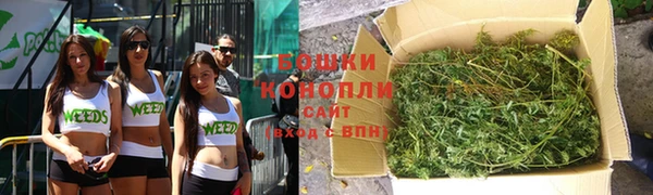 таблы Богородицк