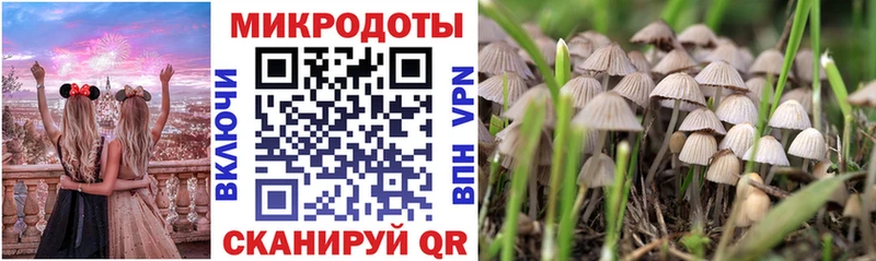 Псилоцибиновые грибы прущие грибы  Купить где  Череповец 
