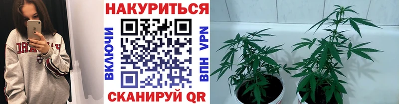 Купить закладки  Череповец  Шишки марихуана SATIVA & INDICA 
